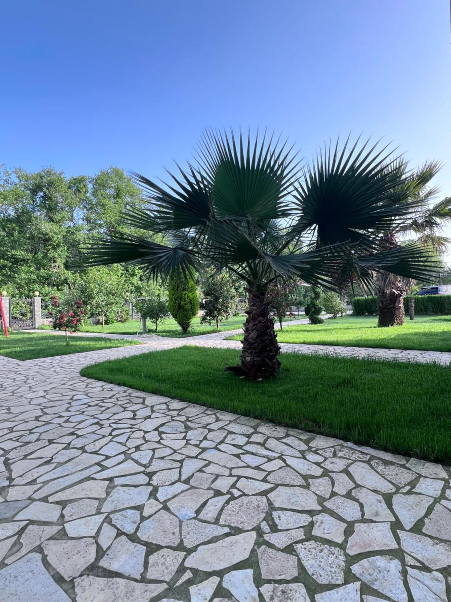 Residence Leora Ulcinj Exteriér fotografie