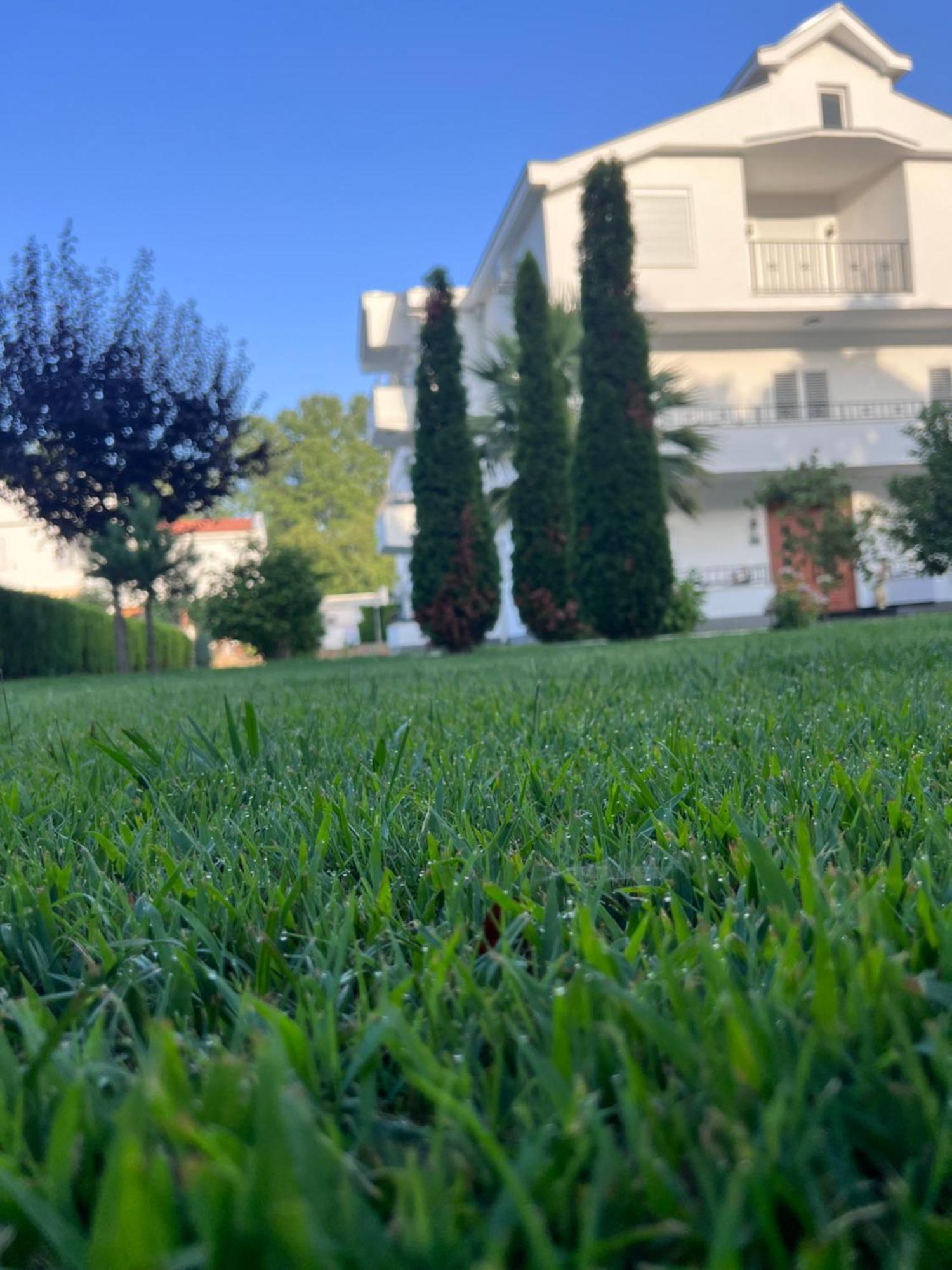 Residence Leora Ulcinj Exteriér fotografie