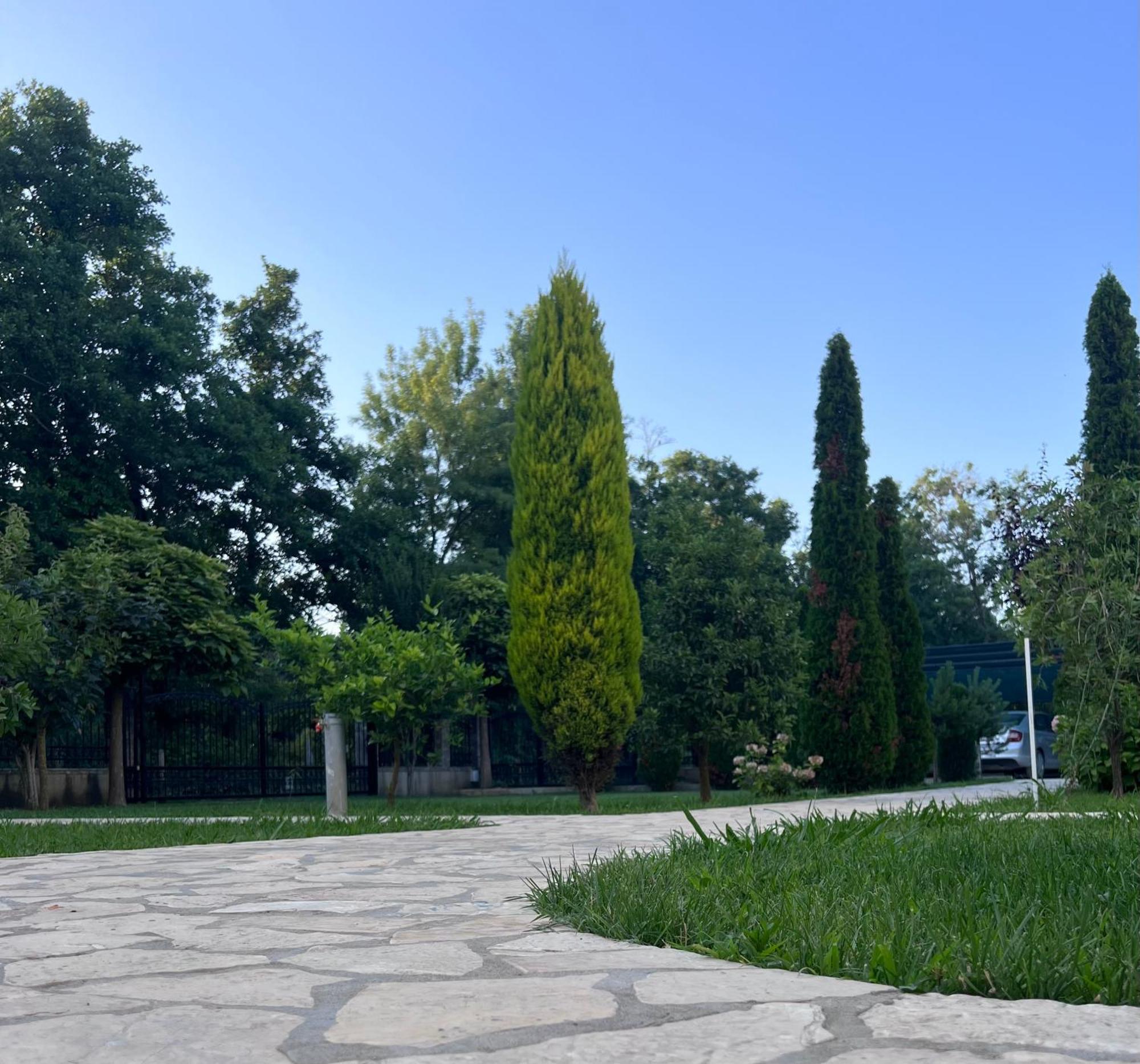 Residence Leora Ulcinj Exteriér fotografie